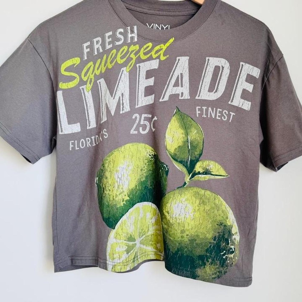 Squeeze The Day Limeade Graphic Cropped Tee Vinyl Gray Ultra Cute Crop Top